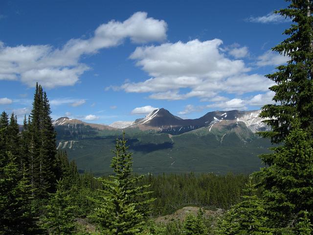 Canadian Rockies-314.JPG - Bald Hills Trail